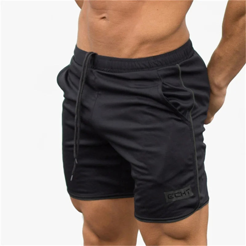 Shorts Summer Gym